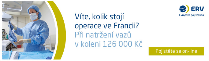 Cestovni pojištění do Francie
