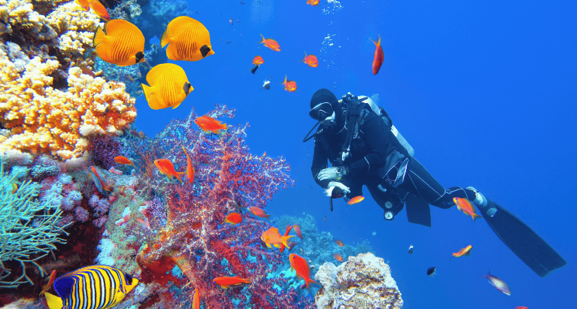 Potápění v Egyptě